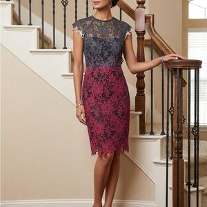 Chic Lace Midi Dress in Black and Pink